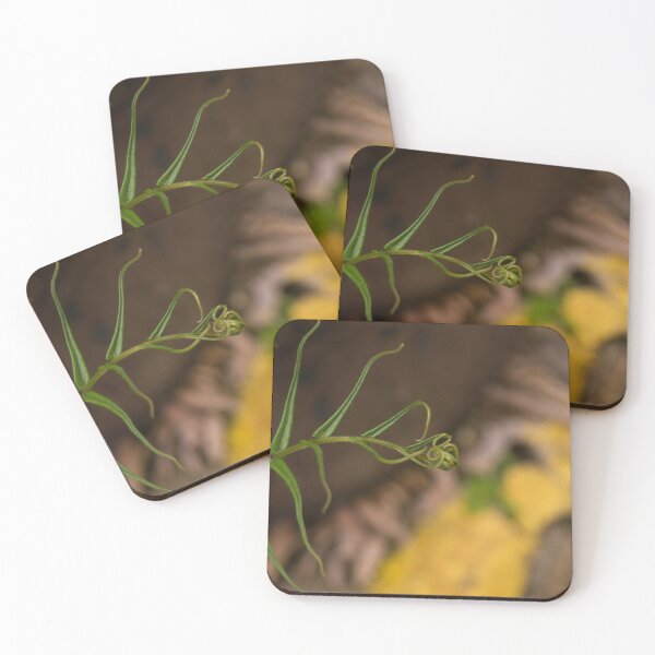 Item preview, Fern Growth designed and sold by ROSE ANN BANILAR.
