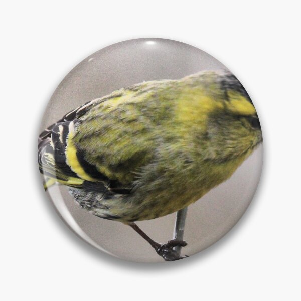 Item preview, siskin designed and sold by KathleenDawson.