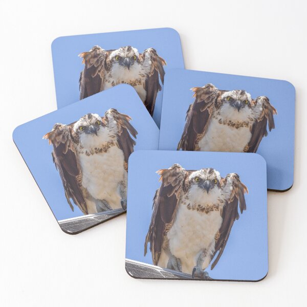 Item preview, Eyes of the Osprey designed and sold by TheHikersEye.