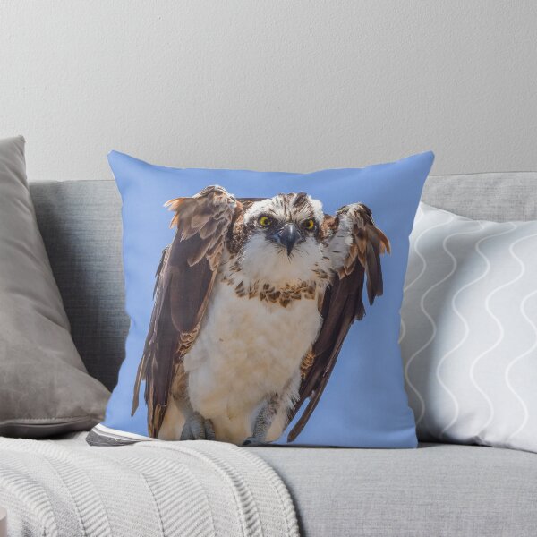 Item preview, Eyes of the Osprey designed and sold by TheHikersEye.