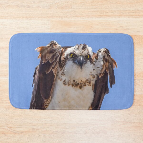 Item preview, Eyes of the Osprey designed and sold by TheHikersEye.