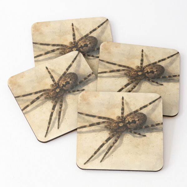 Item preview, Spider Portrait on Neutral Background – Fine Art Photography designed and sold by M.ALK.Watercolor.