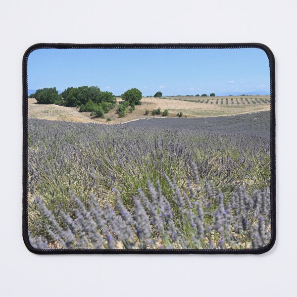 Item preview, Lavender fields in Valensole designed and sold by CadresSauvages.