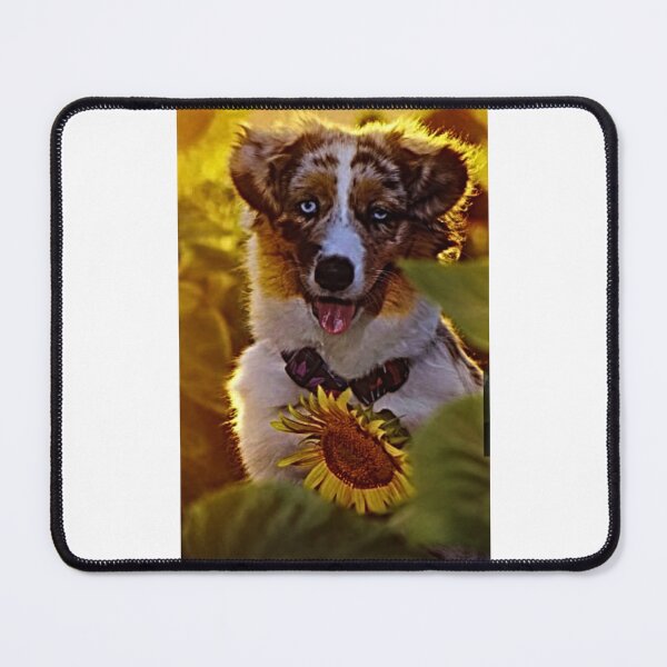 Item preview, Adorable Australian Shepherd Puppy Surrounded by Sunflowers designed and sold by NoxLand.