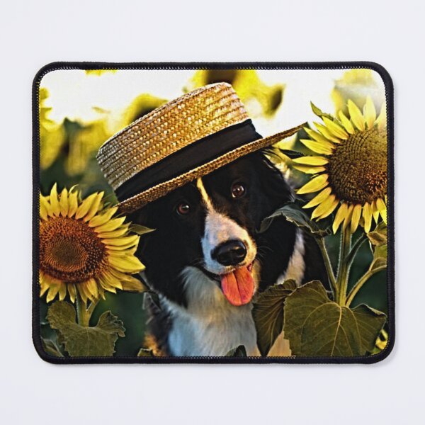 Item preview, Beautiful Border Collie With A Hat On His Head Surrounded By Sunflowers designed and sold by NoxLand.