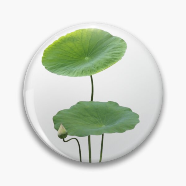 Item preview, Lotus Leaves designed and sold by venezithea.
