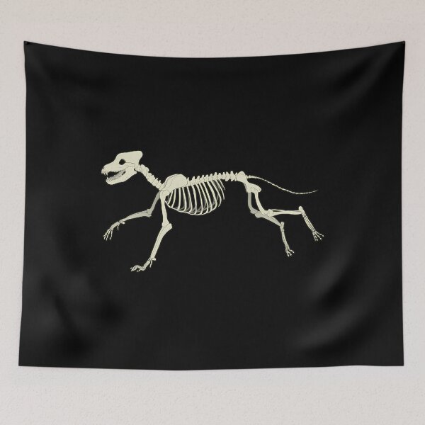 Item preview, Running Wolf Skeleton Anatomy Art designed and sold by yjbgcifs23.