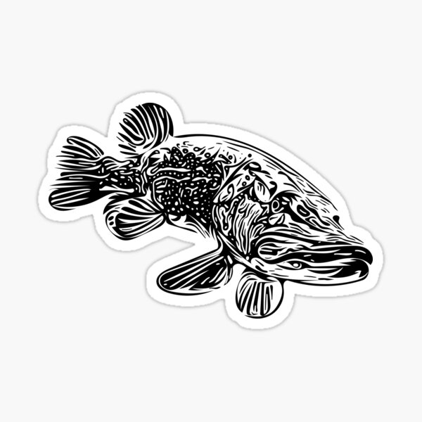 PIKE FISHING DECAL LOGO FOR CAR VAN LAPTOP VINYL STICKER FUNNY angling 
