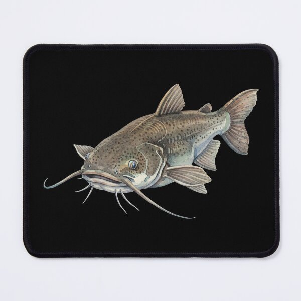 Item preview, Catfish designed and sold by 4rtistcDrift.