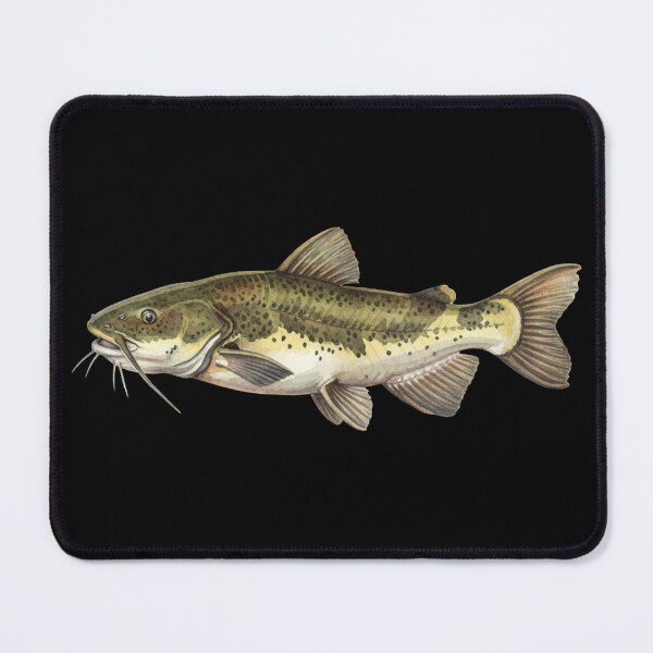 Item preview, Catfish designed and sold by 4rtistcDrift.