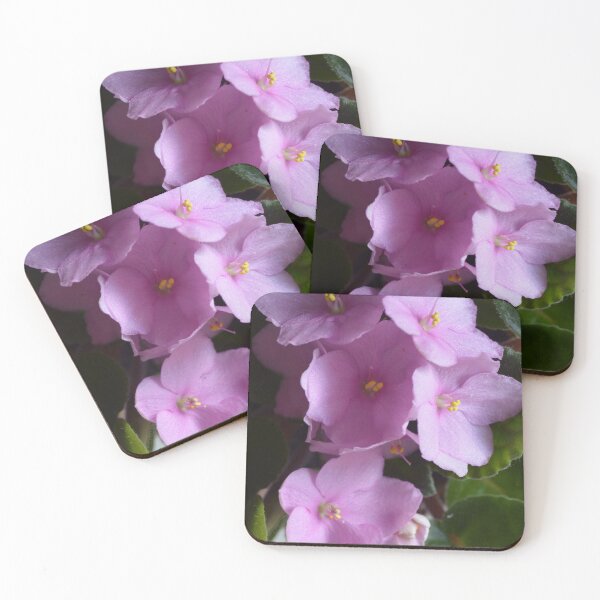 Item preview, African Violet Saintpaulia - Pink flowers designed and sold by Lily Rose Doodle.