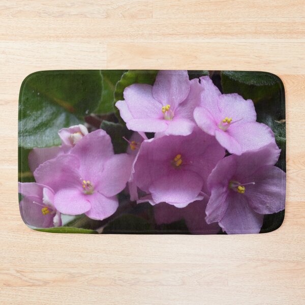 Item preview, African Violet Saintpaulia - Pink flowers designed and sold by Lily Rose Doodle.