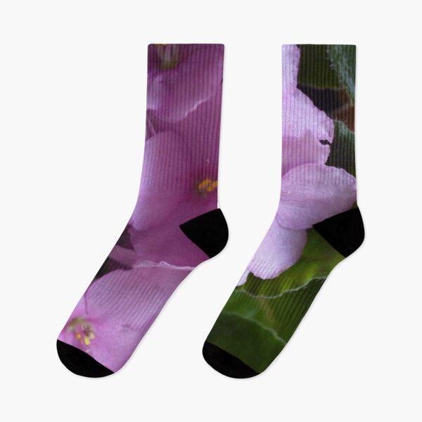 Item preview, African Violet Saintpaulia - Pink flowers designed and sold by Lily Rose Doodle.