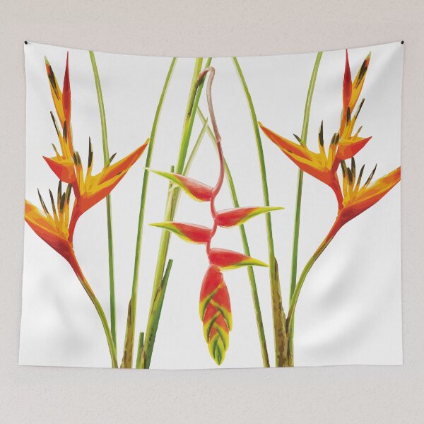 Item preview, Tropical Heliconia flower with withe background designed and sold by Move-Art.