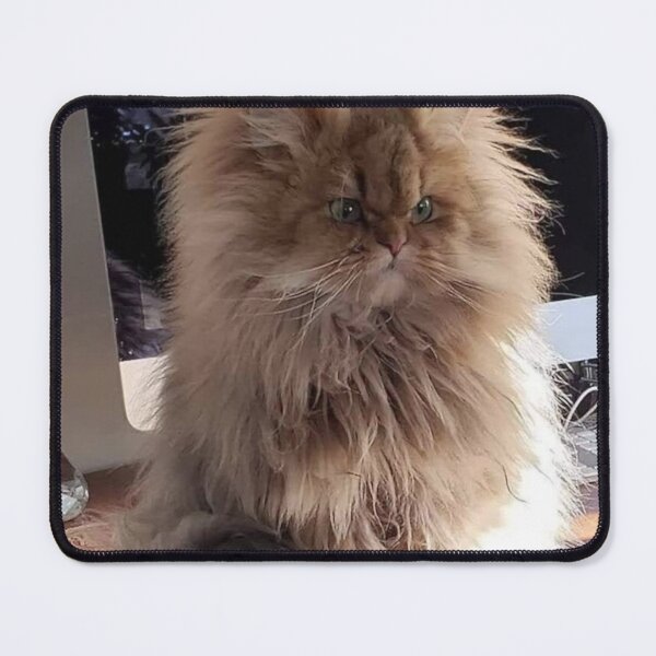 Item preview, The Ultimate Bad Hair Day: Grumpy Fluff designed and sold by Dreamy Armine Art.