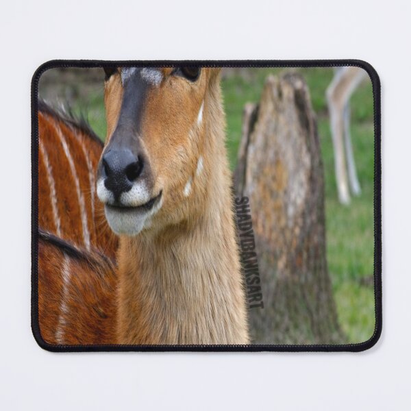 Item preview, Nyala Antelope designed and sold by ShadyBanksArt.