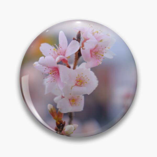 Item preview, Winter Cherry Blossoms during New Year’s Holidays in Tokyo’s Ueno Park designed and sold by Pix4Japan.