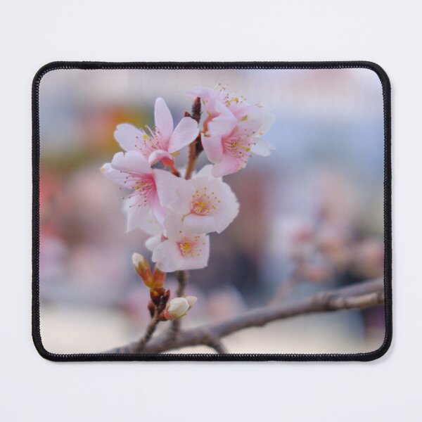 Item preview, Winter Cherry Blossoms during New Year’s Holidays in Tokyo’s Ueno Park designed and sold by Pix4Japan.