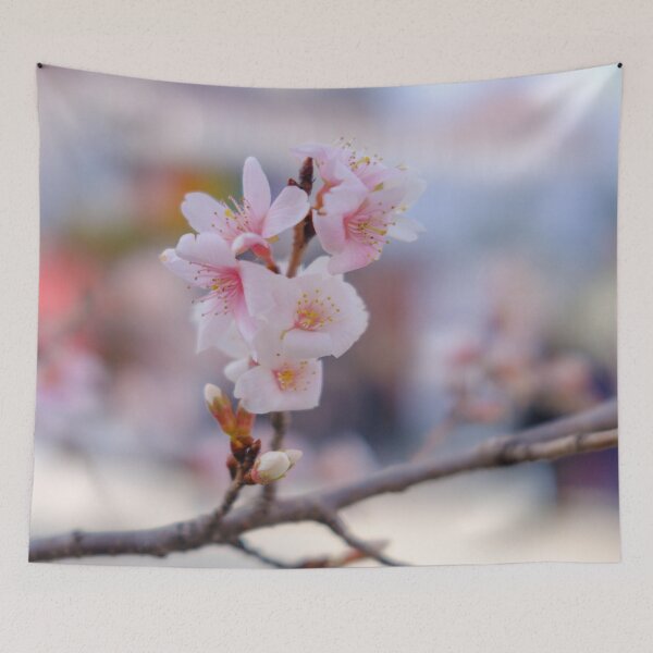 Item preview, Winter Cherry Blossoms during New Year’s Holidays in Tokyo’s Ueno Park designed and sold by Pix4Japan.
