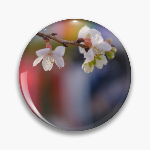 Item preview, Winter Cherry Blossoms during New Year’s Holidays in Tokyo’s Ueno Park designed and sold by Pix4Japan.