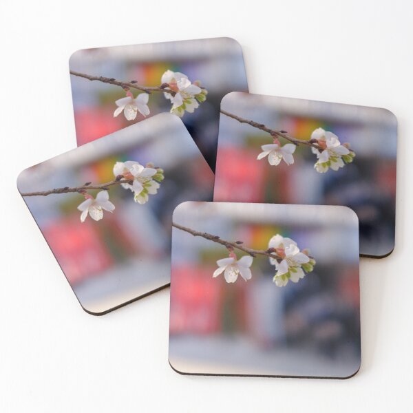 Item preview, Winter Cherry Blossoms during New Year’s Holidays in Tokyo’s Ueno Park designed and sold by Pix4Japan.