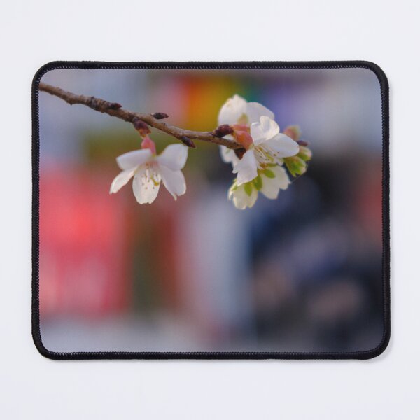 Item preview, Winter Cherry Blossoms during New Year’s Holidays in Tokyo’s Ueno Park designed and sold by Pix4Japan.