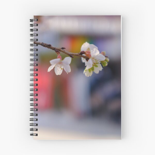 Item preview, Winter Cherry Blossoms during New Year’s Holidays in Tokyo’s Ueno Park designed and sold by Pix4Japan.