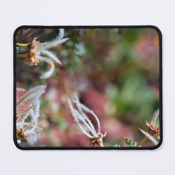 Item preview, A Window into Mother Nature designed and sold by Alina Art.