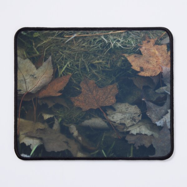 Item preview, Leaves designed and sold by Ckoma.