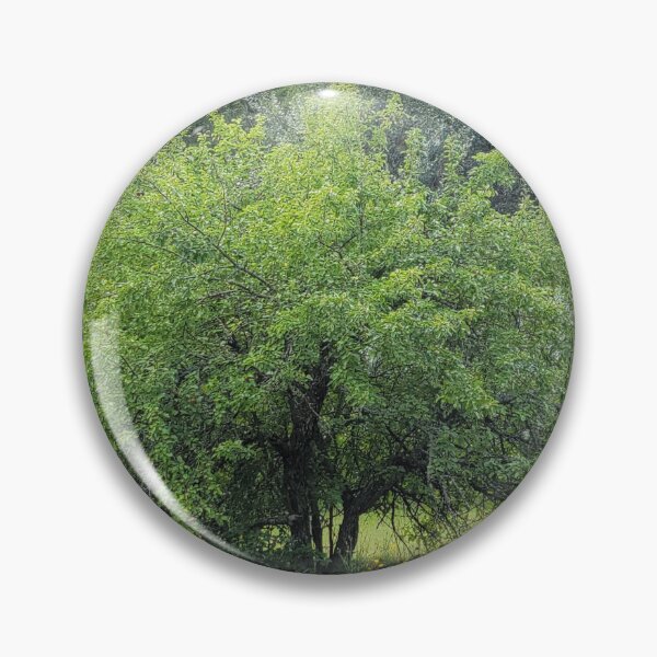 Item preview, Apple Tree designed and sold by Ckoma.
