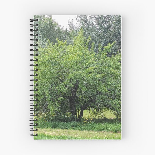 Item preview, Apple Tree designed and sold by Ckoma.