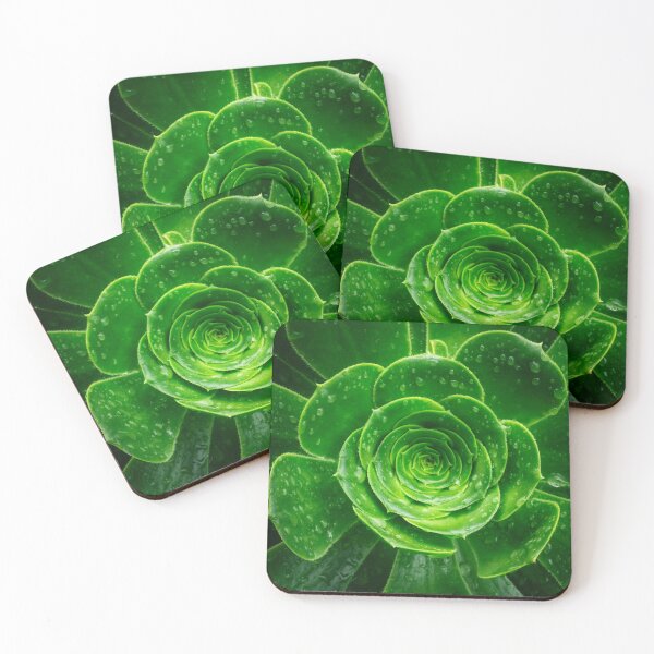 Item preview, Geometry of Nature — Succulent Perfection designed and sold by TheHikersEye.