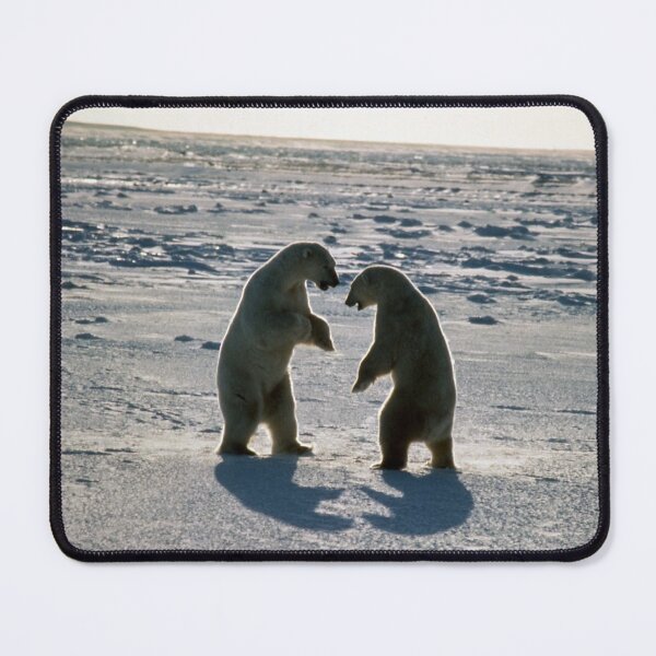 Item preview, Two Polar Bears from Scanned Slide designed and sold by Texas Hill Country Tales.