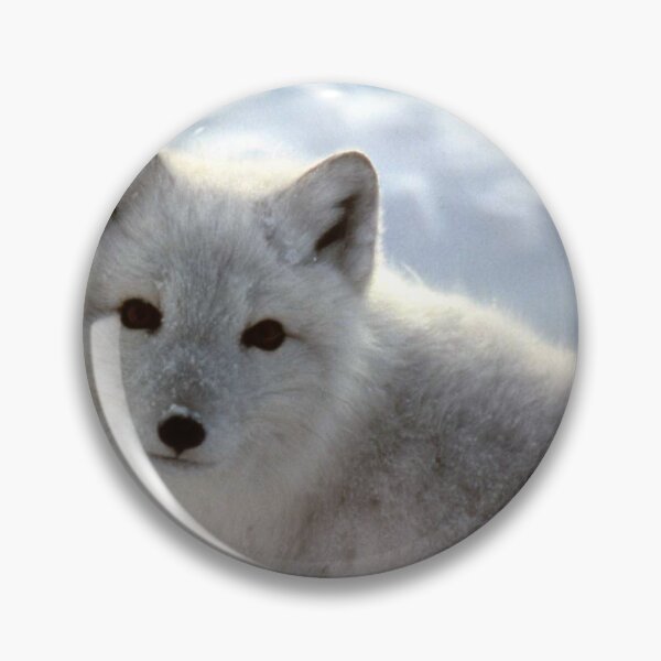 Item preview, White Wolf from Scanned Slide designed and sold by Texas Hill Country Tales.