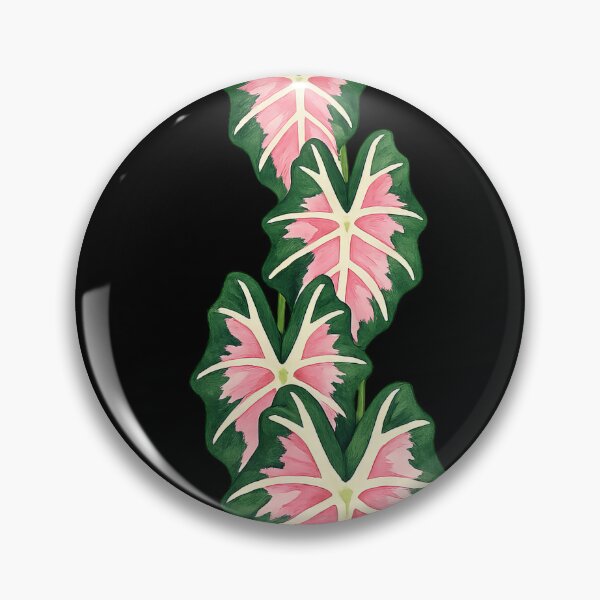 Item preview, Variegated Pink Alocasia Sanderiana Leaves designed and sold by scicilysimonee.