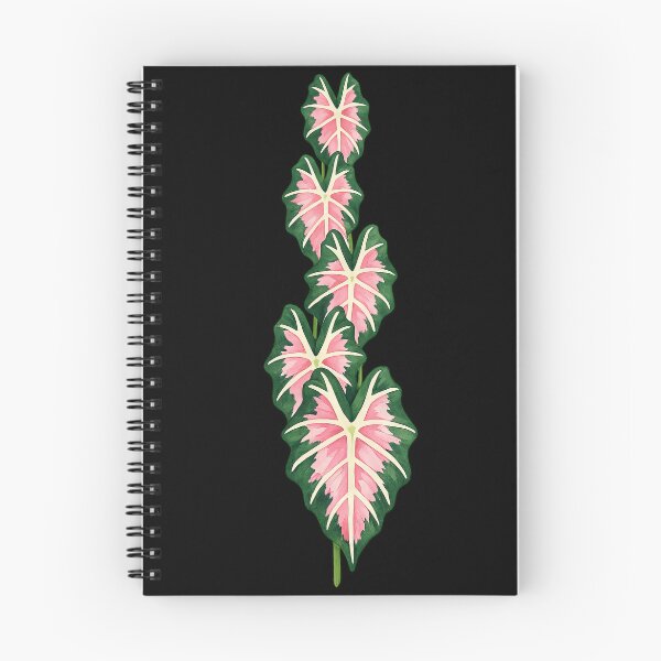 Item preview, Variegated Pink Alocasia Sanderiana Leaves designed and sold by scicilysimonee.