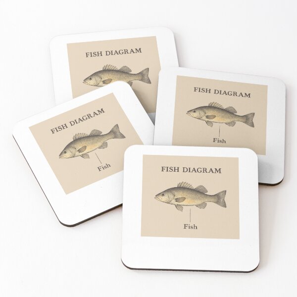 Item preview, Fish Diagram designed and sold by krystalRomanart.