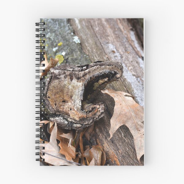 Item preview, An old tree branch resembling a snake  designed and sold by OzzyluArt.