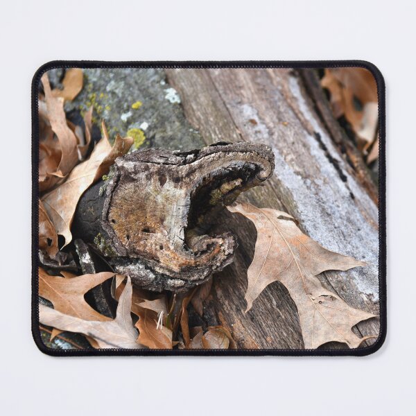 Item preview, An old tree branch resembling a snake  designed and sold by OzzyluArt.