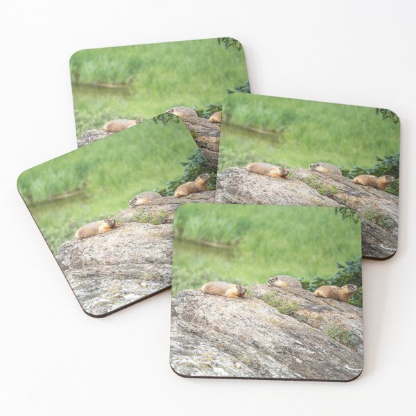 Item preview, Mountain Marmots designed and sold by Cory Hill.