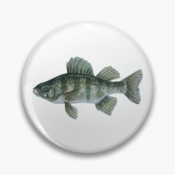 Item preview, perch water color painting designed and sold by quinnsteinman.