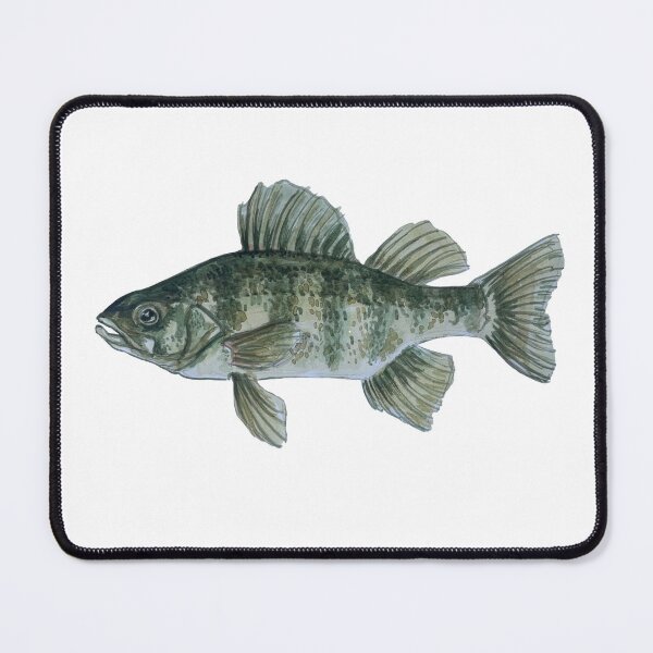 Item preview, perch water color painting designed and sold by quinnsteinman.