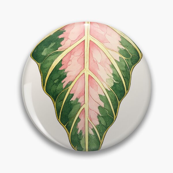 Item preview, Variegated Alocasia Sanderiana with Soft Pink Veins designed and sold by scicilysimonee.