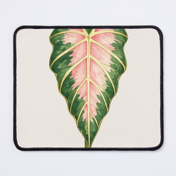 Item preview, Variegated Alocasia Sanderiana with Soft Pink Veins designed and sold by scicilysimonee.