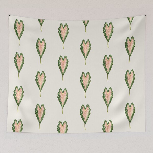 Item preview, Variegated Alocasia Sanderiana with Soft Pink Veins designed and sold by scicilysimonee.