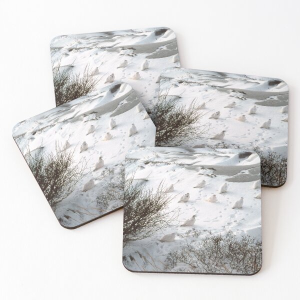 Item preview, White Birds in the Snow – North Pole, Vintage Slide Scan designed and sold by Texas Hill Country Tales.