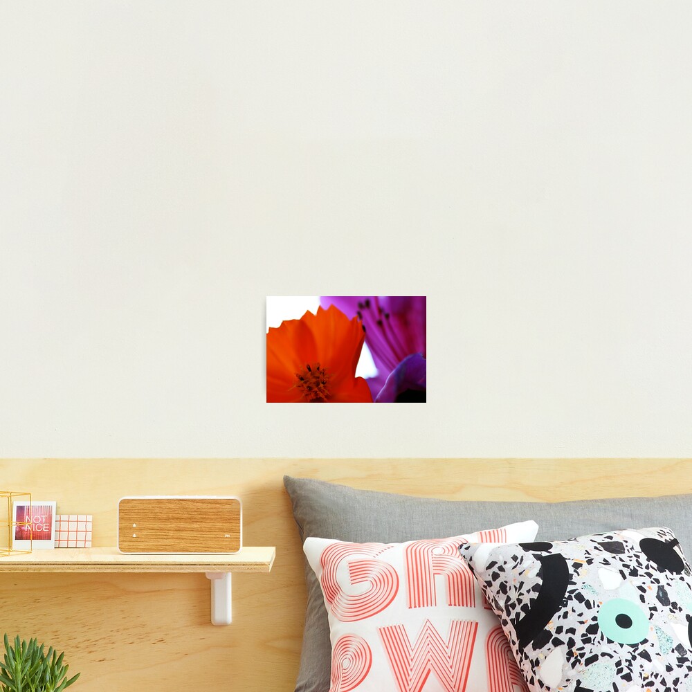 Vista previa del artículo con la obra «Lámina fotográfica», diseñado y vendido por Ryleigh.