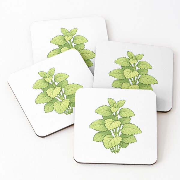 Item preview, Lemon Balm Herb Botanical Illustration Sticker designed and sold by Vendeloc.