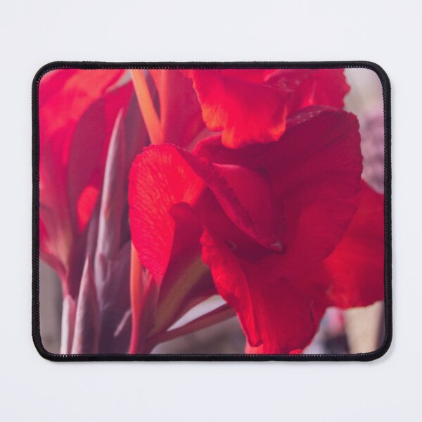 Item preview, Canna lily designed and sold by ROSE ANN BANILAR.