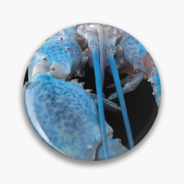 Item preview, Blue Lobster Jumpscare designed and sold by TDess.